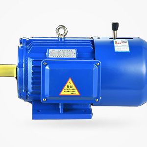 國(guó)產(chǎn)伺服電機(jī)如何選擇和使用，詳細(xì)介紹國(guó)產(chǎn)伺服電機(jī)的選型和使用指南